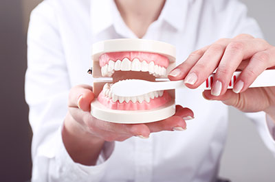 The image shows a person holding a toothbrush with toothpaste on top of an open mouth model.