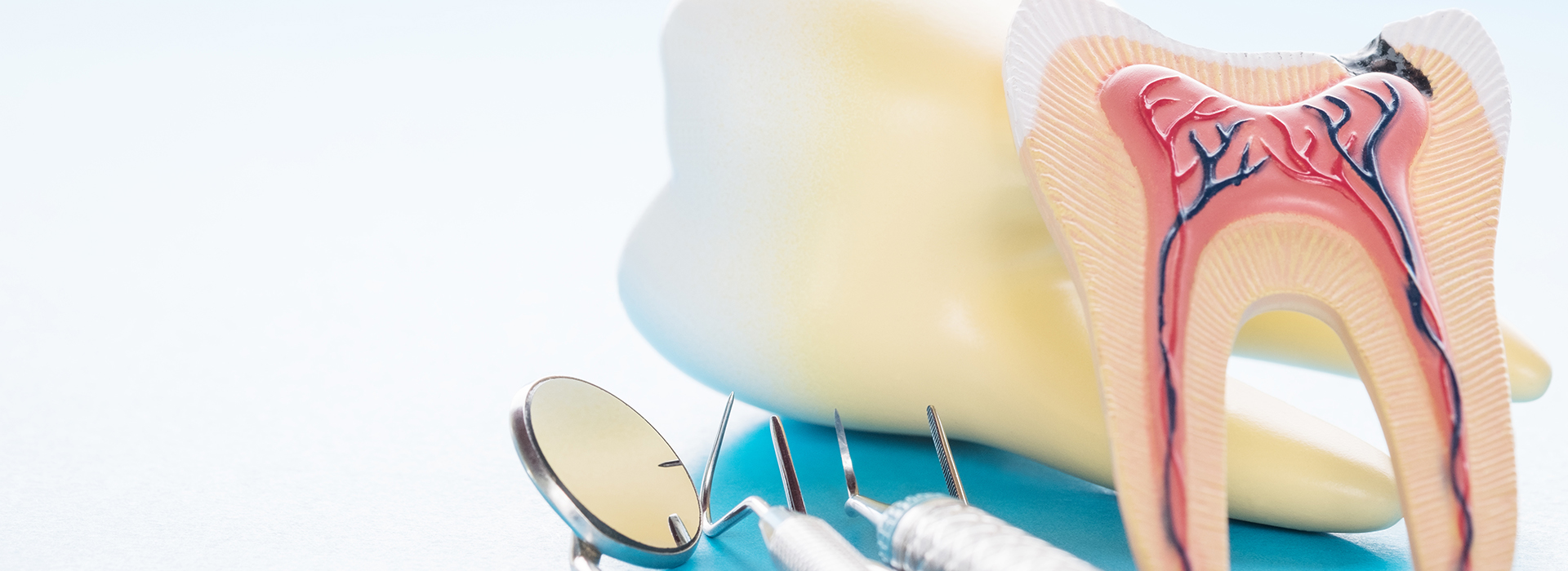 The image shows a pair of children s toothbrushes with cartoon characters on them, placed against a blue background.